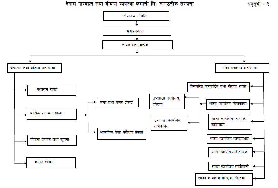 Organization Structure